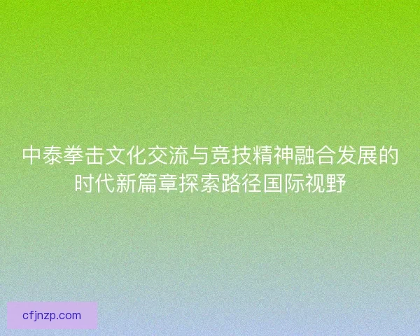 中泰拳击文化交流与竞技精神融合发展的时代新篇章探索路径国际视野