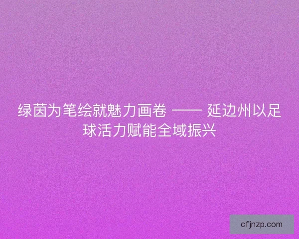 绿茵为笔绘就魅力画卷 —— 延边州以足球活力赋能全域振兴